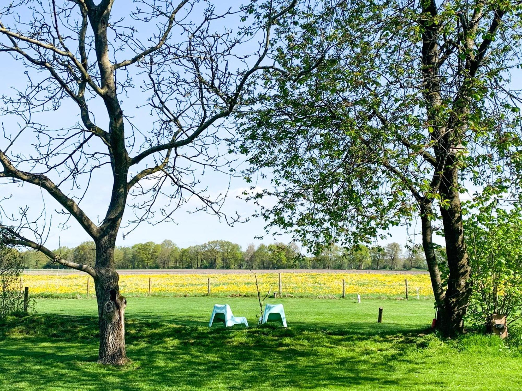 Bed & Breakfast De Loeghoeve Anderen Esterno foto